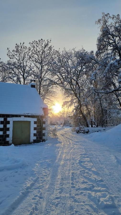 Vanatoa Taluhotell Koguva Exteriér fotografie