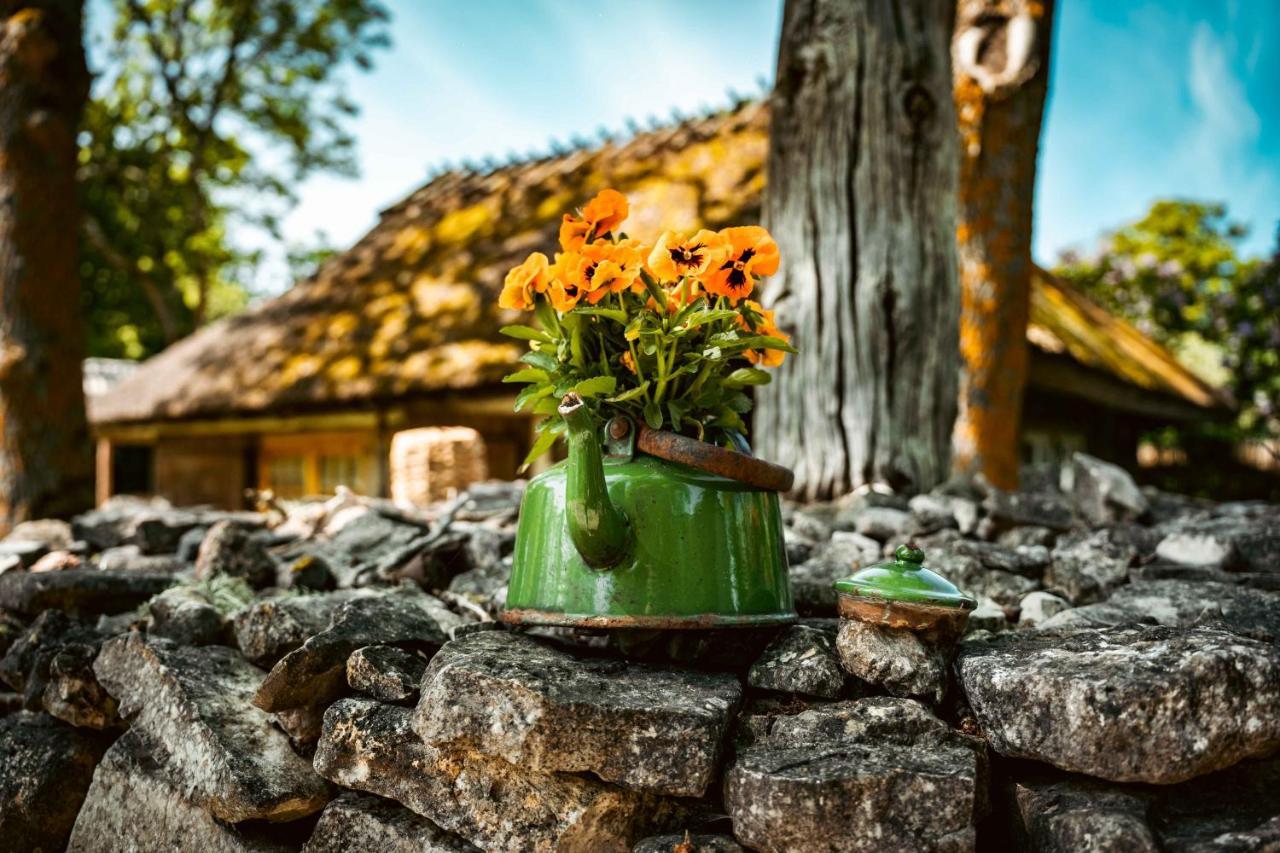 Vanatoa Taluhotell Koguva Exteriér fotografie