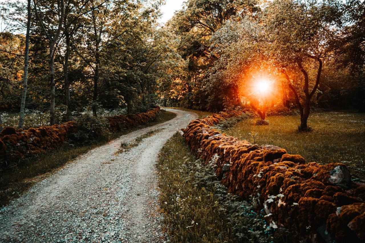 Vanatoa Taluhotell Koguva Exteriér fotografie