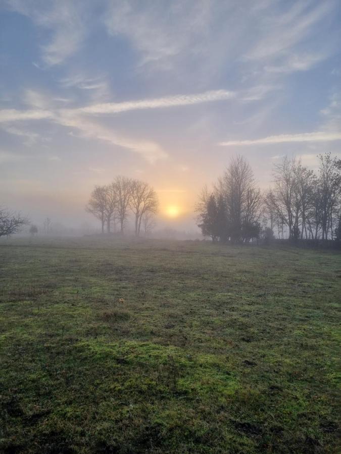 Vanatoa Taluhotell Koguva Exteriér fotografie