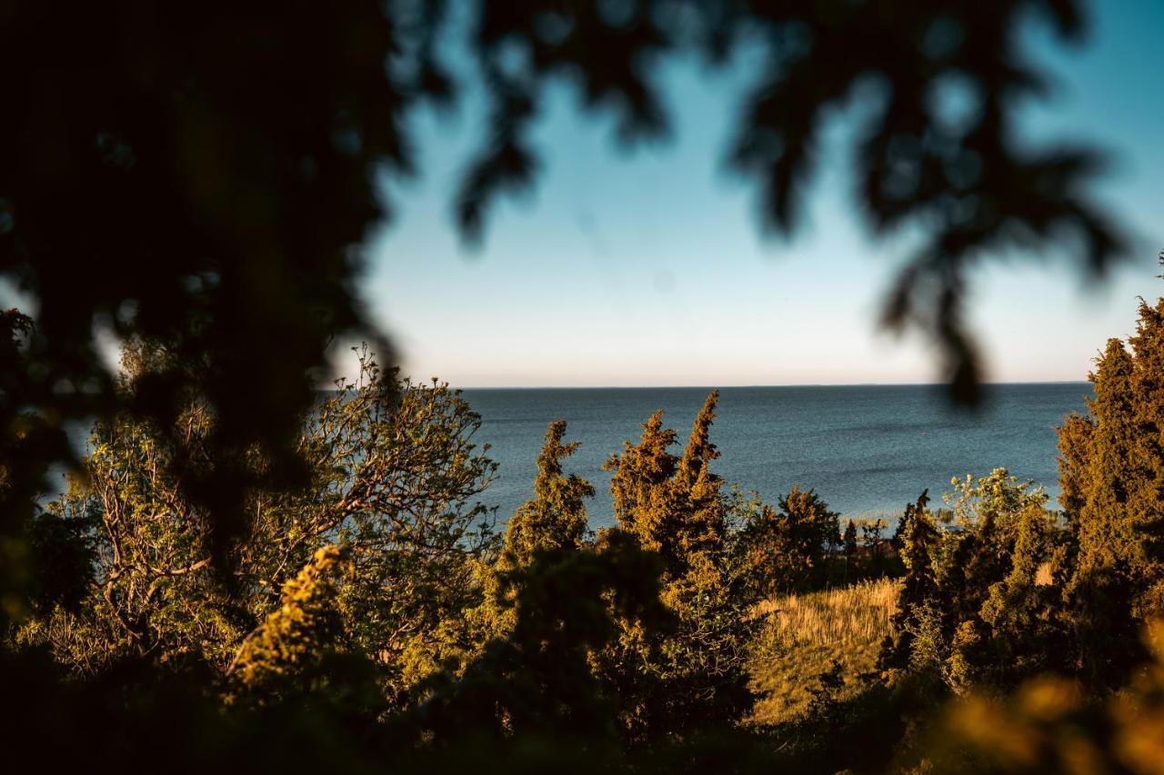Vanatoa Taluhotell Koguva Exteriér fotografie